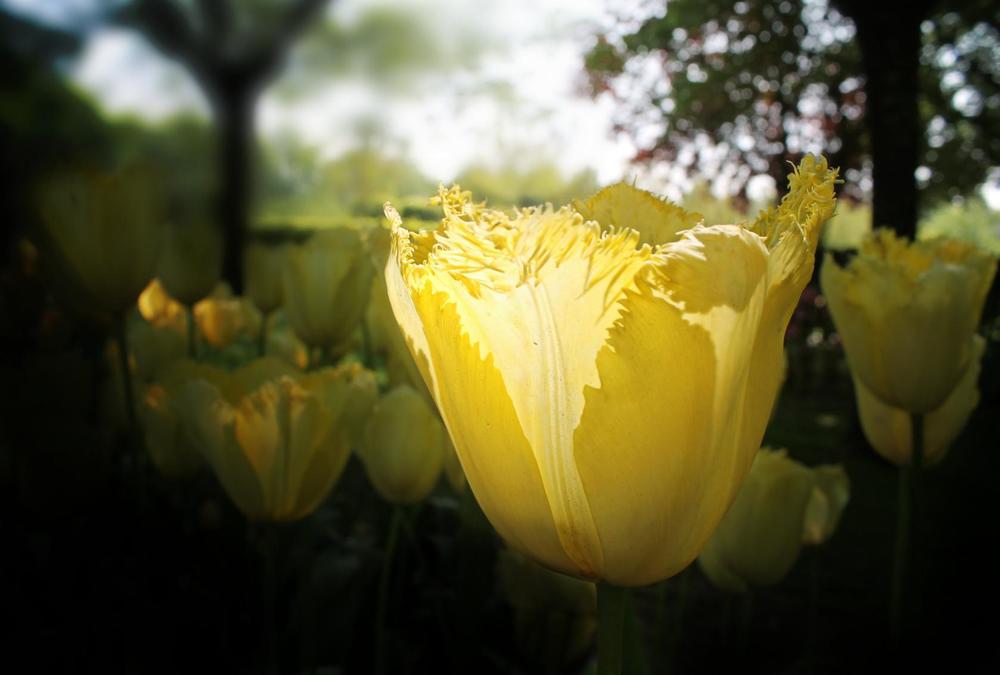 Photograph by Irina Radzinskaya