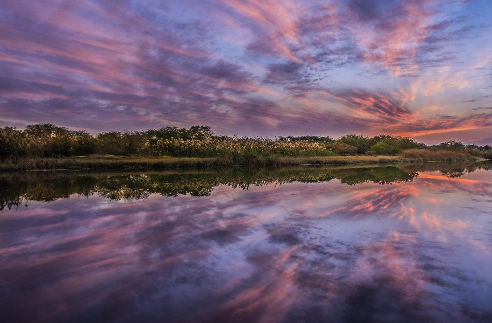 Photograph by fares Moghadam