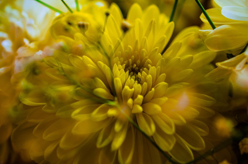 Желтый взрыв