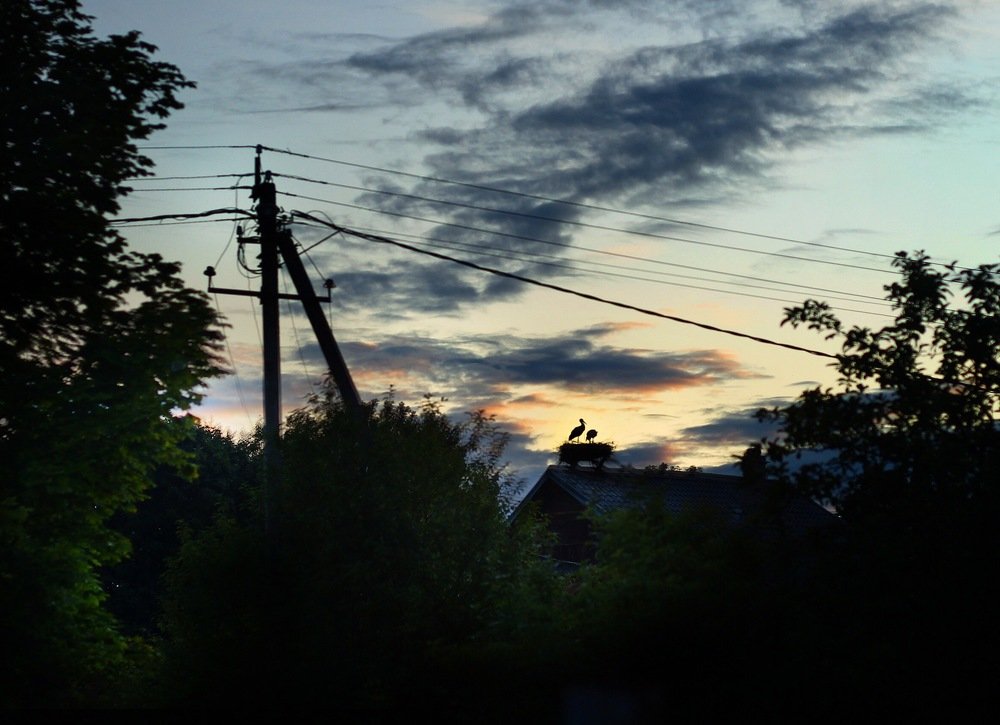 Photograph by Ирина Семячкова