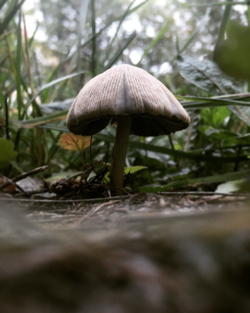 Photograph by Юля Курдова