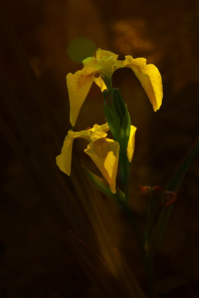 Photograph by Михаил Строев