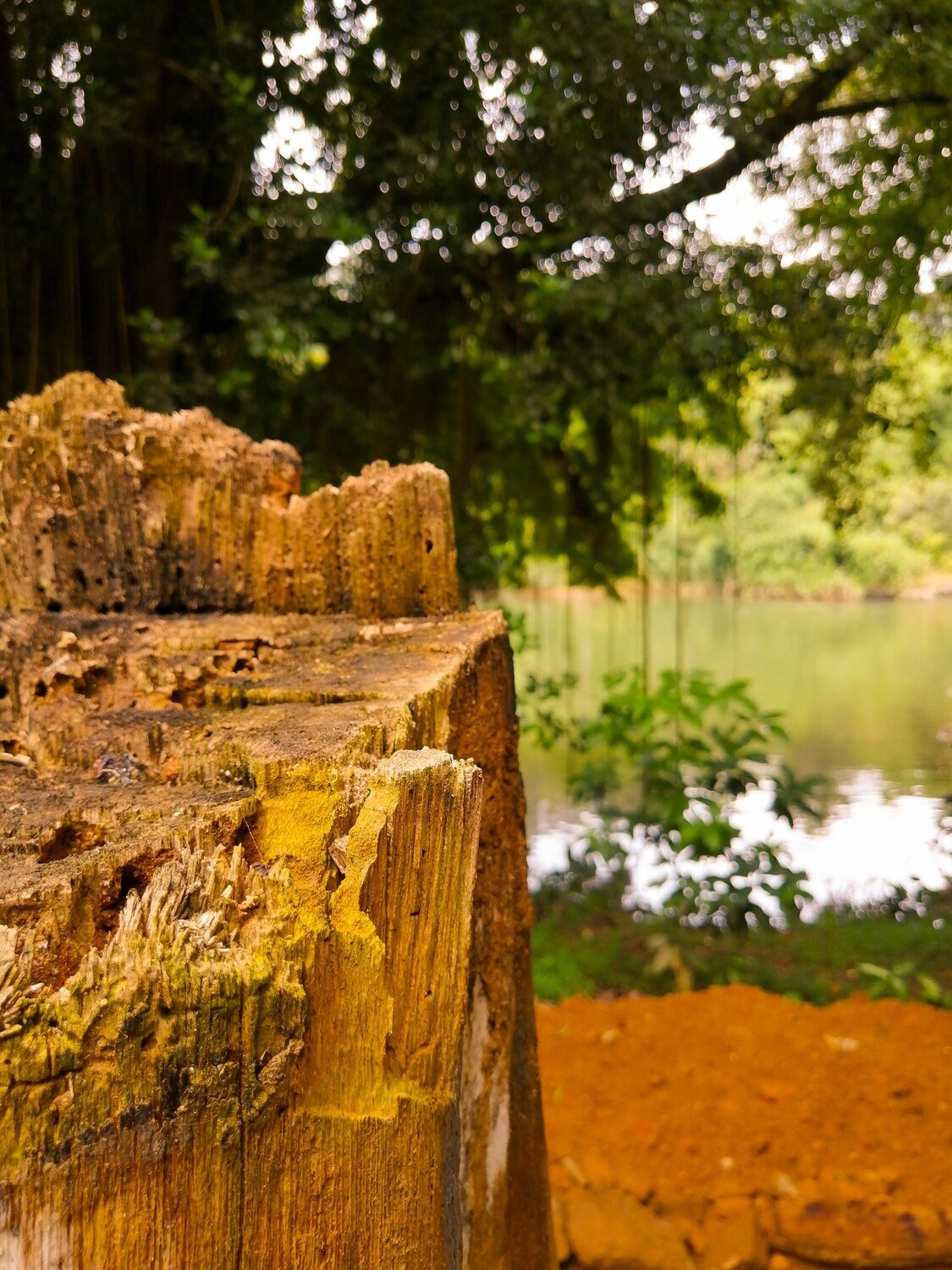 Nature