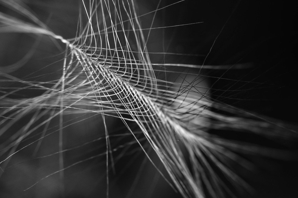 Photograph by Елена Боржковская