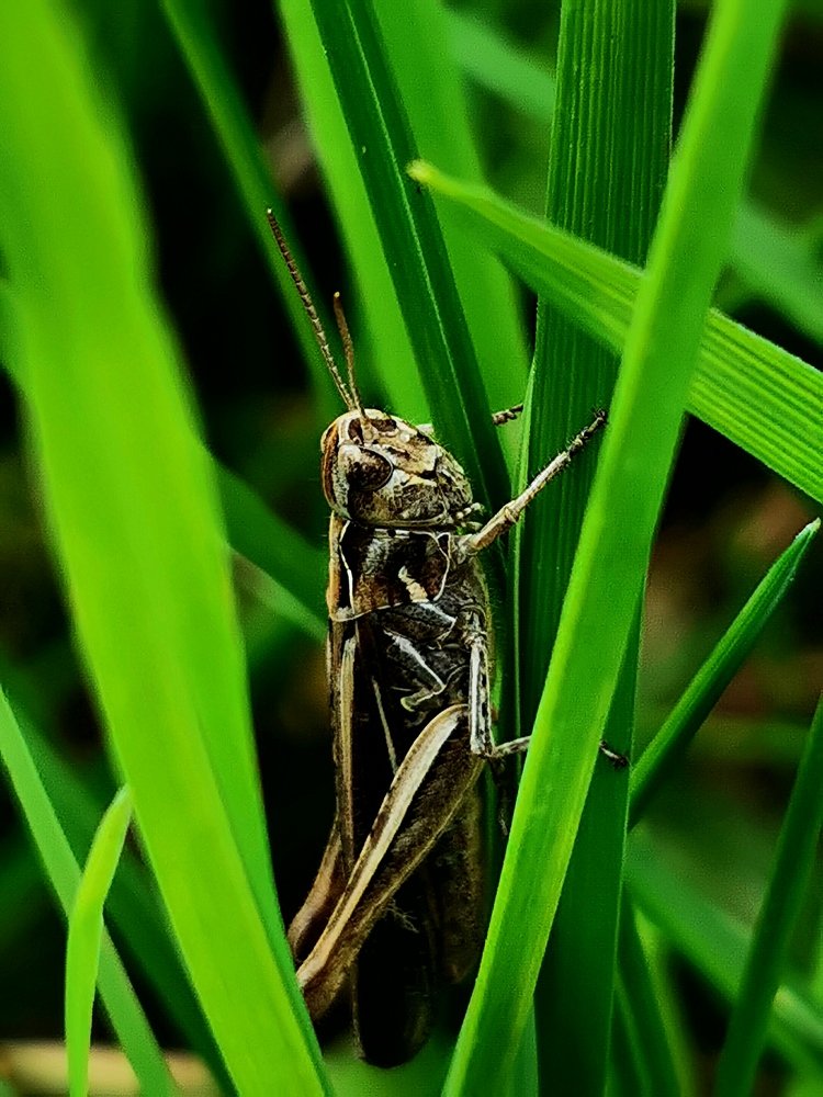 Photograph by Mārtiņš Andersons