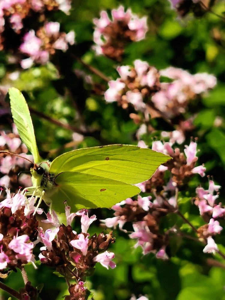 Photograph by Mārtiņš Andersons