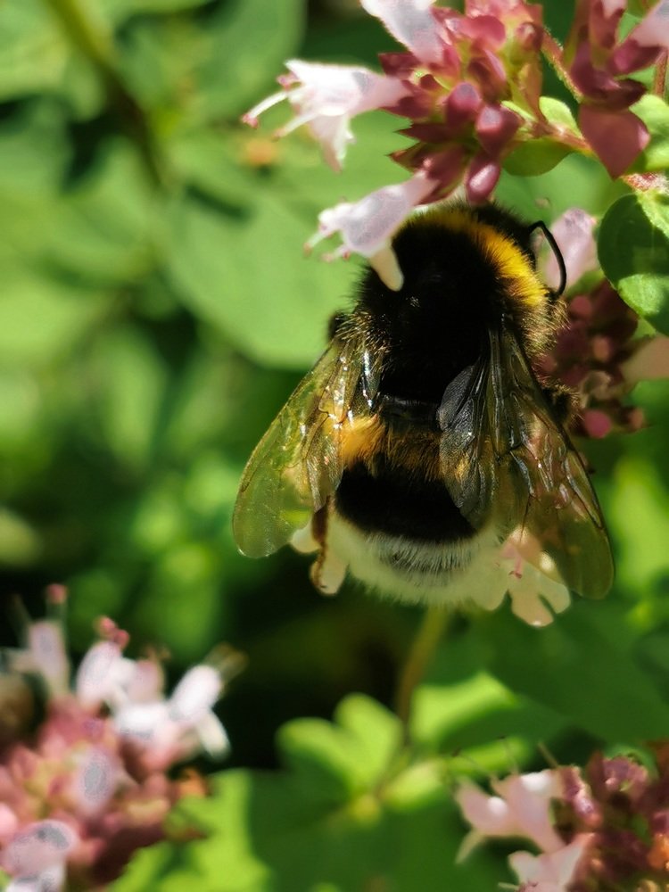 Photograph by Mārtiņš Andersons
