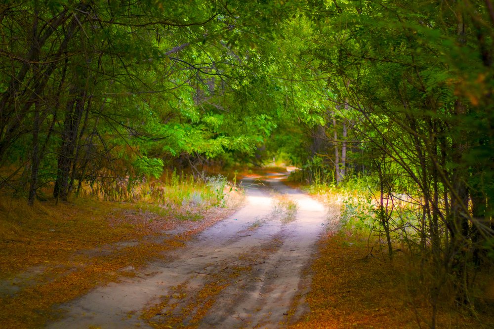 Photograph by Олег