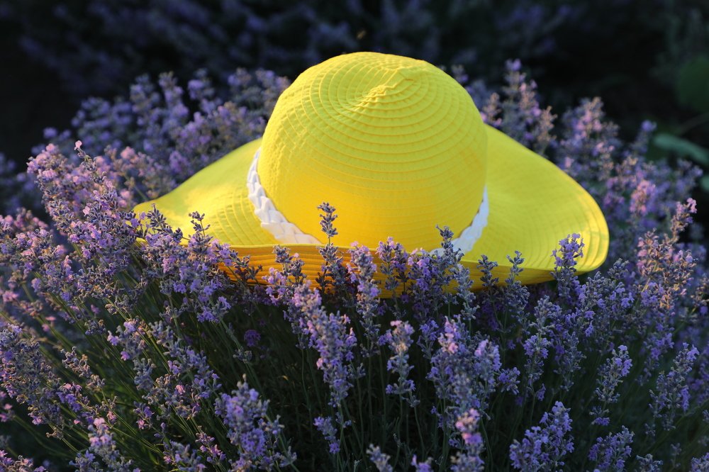 Photograph by Валерия Маркова