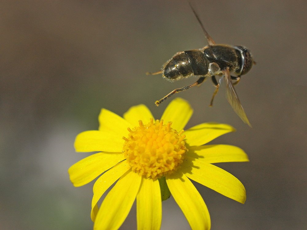 Ух, как жарко...
