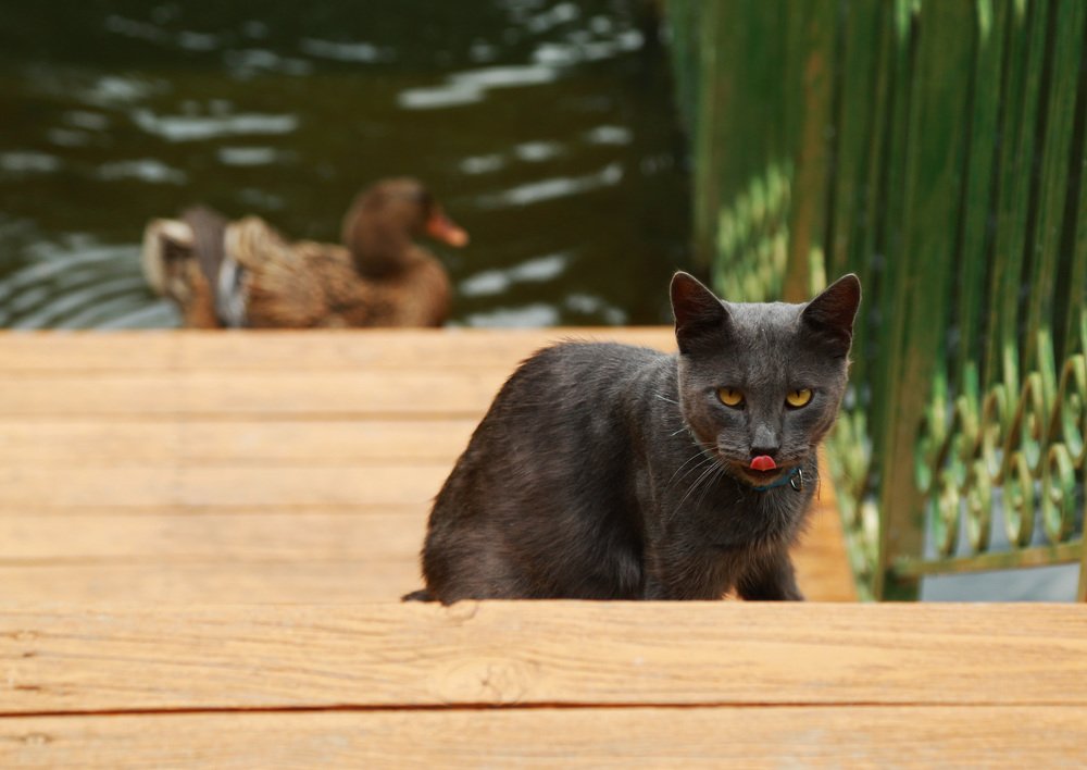 Photograph by Дарья Юсарева