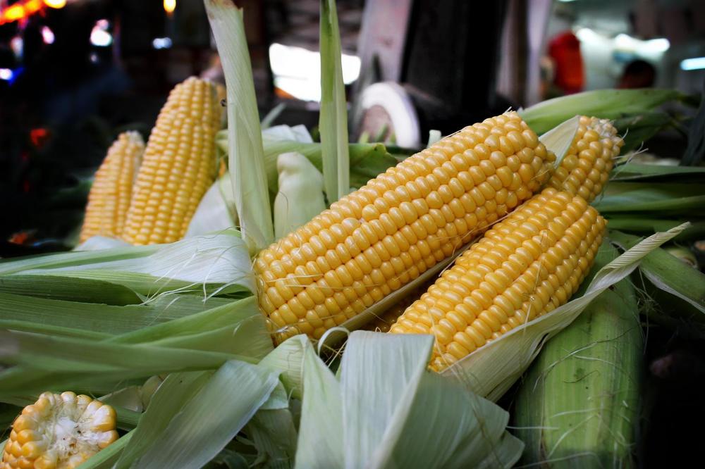 Photograph by Irina Radzinskaya