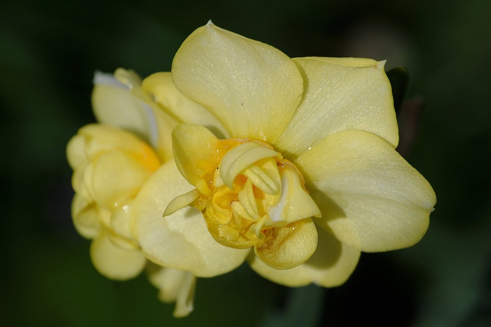 Photograph by Yroslava Veretina