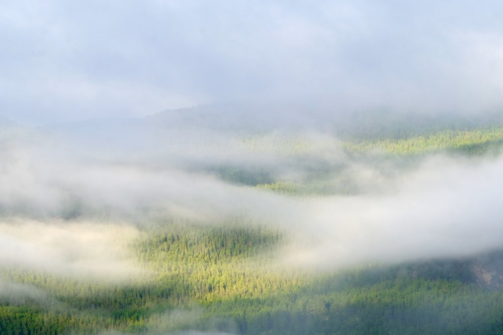 Photograph by Ольга Челдыкова