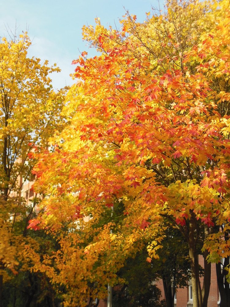 Photograph by Евгений Савулькин