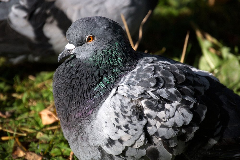 Photograph by Yroslava Veretina