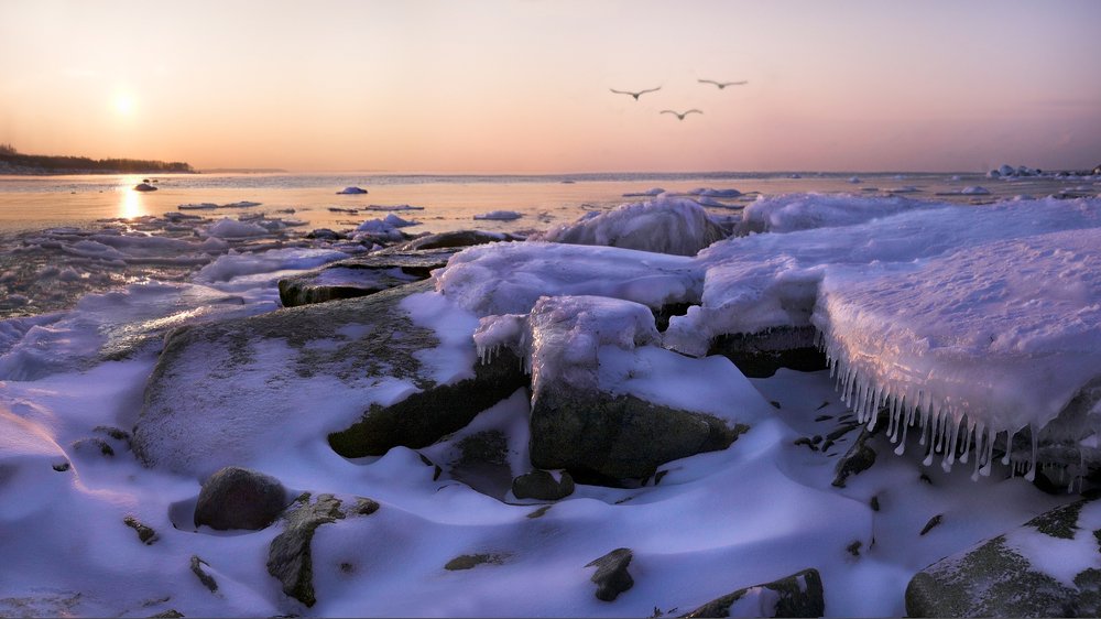 Photograph by Геннадий