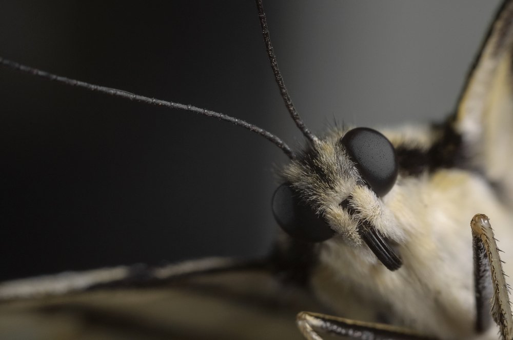 Photograph by Михаил Курихин