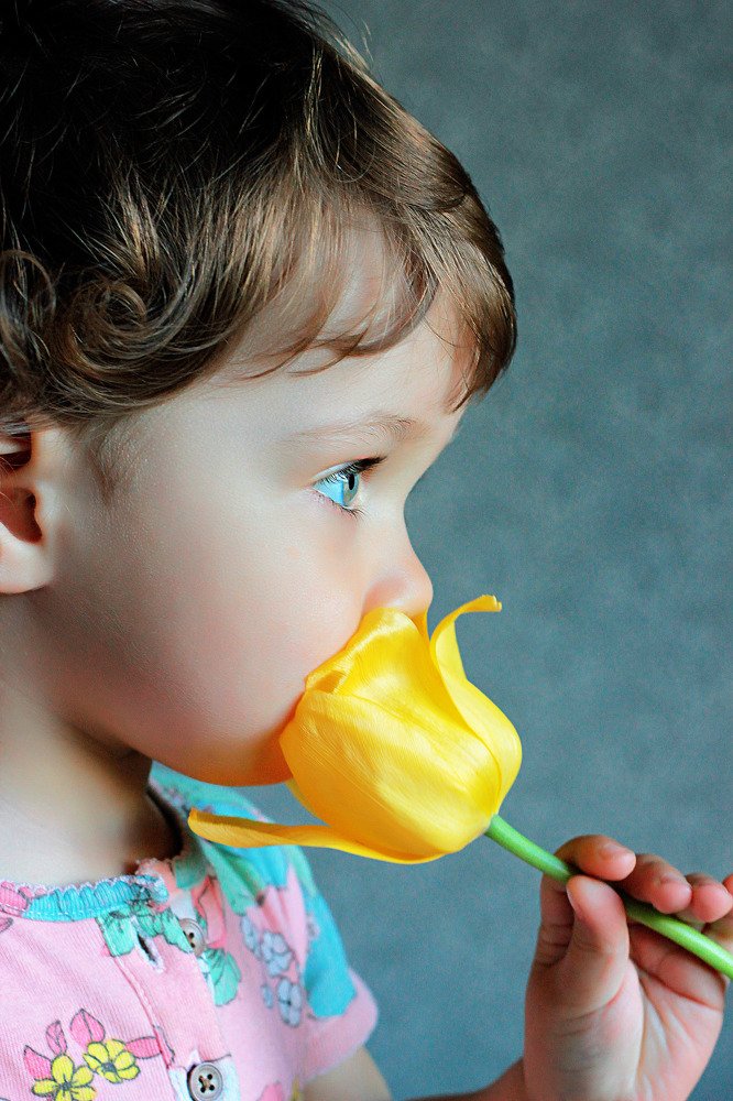 Анечка и  тюльпан