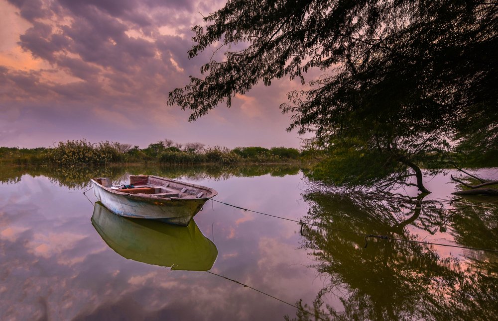 Photograph by fares Moghadam