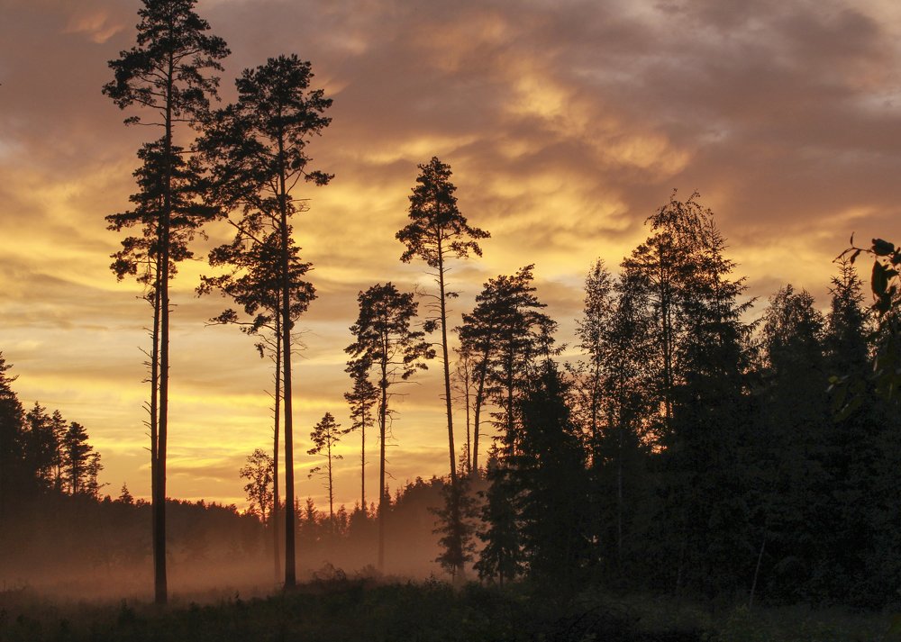 Photograph by Наталья Путято