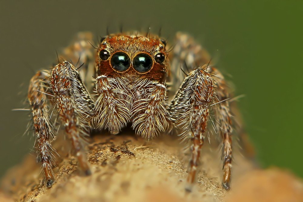 Beauty is in the details!