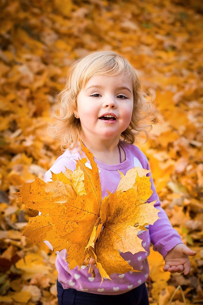 осенний букет