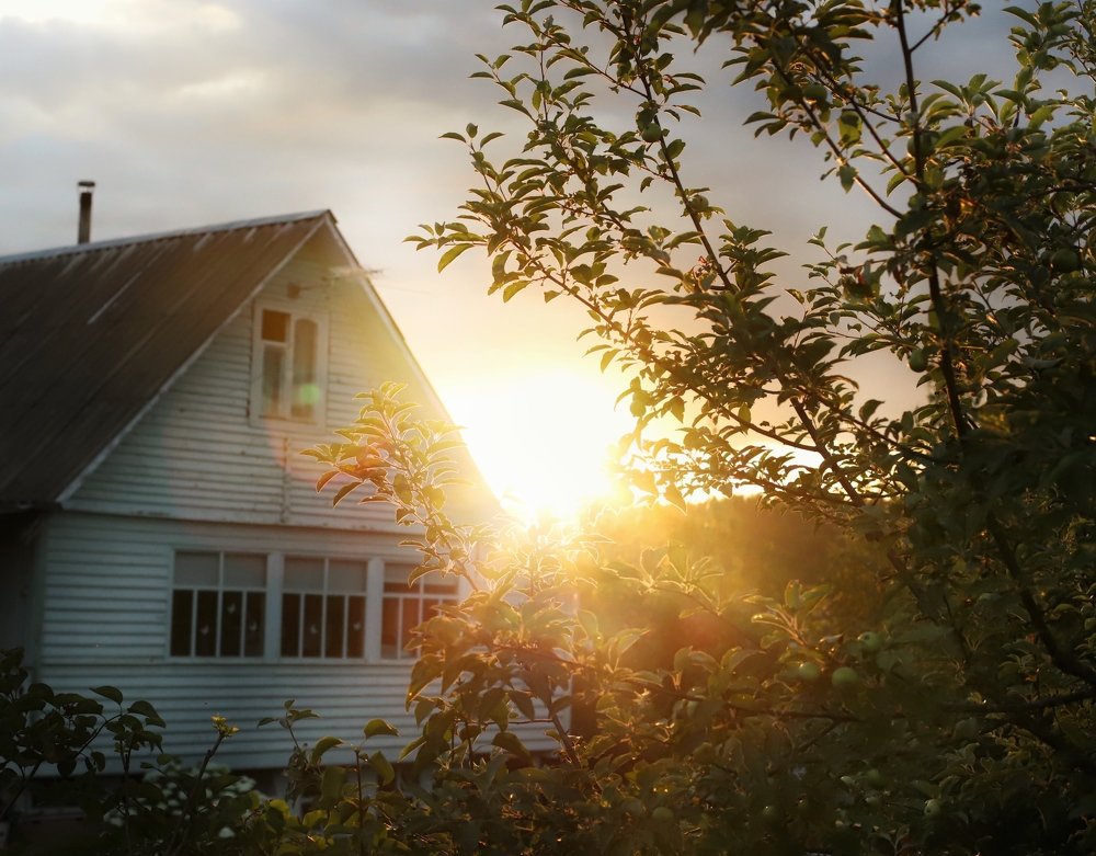 Подмосковные вечера