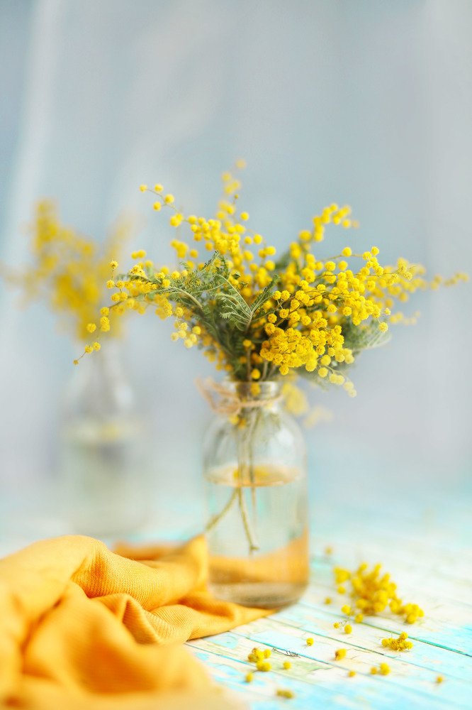 Photograph by Татьяна Бобрикова