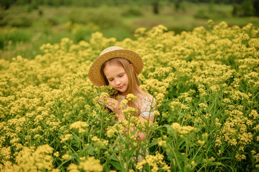 Цветение сурепки