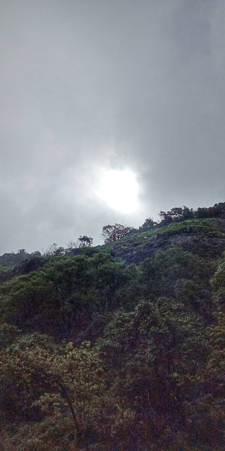 Sunshine
