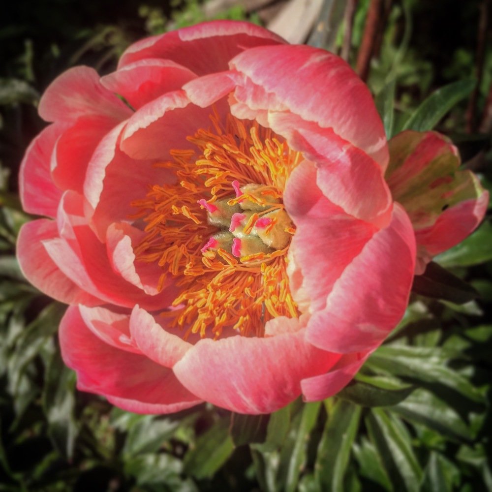 Photograph by Екатерина Калинина