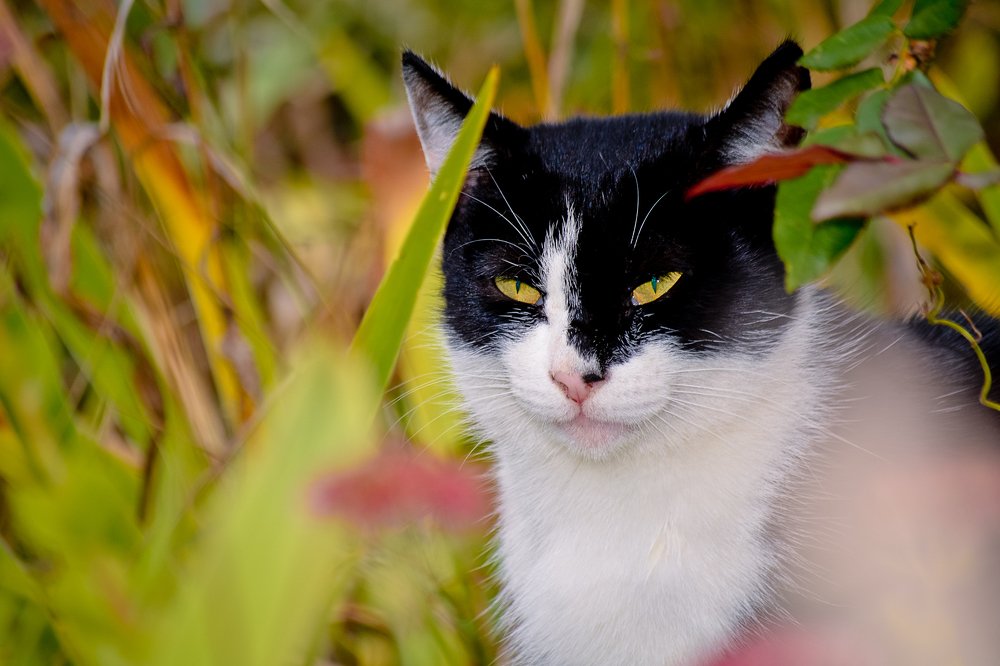 Photograph by Инна Толстореброва