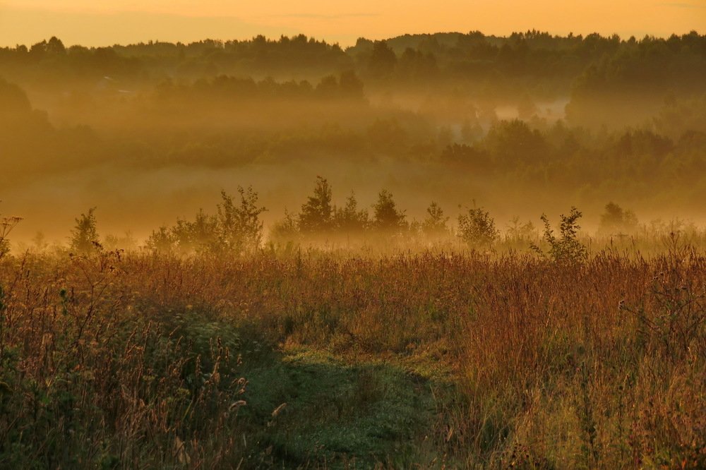 Слоёный пирог