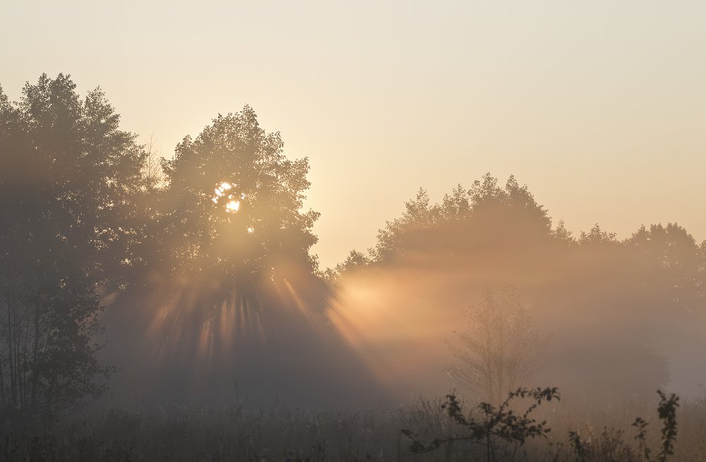 Photograph by Сергей Алексеев