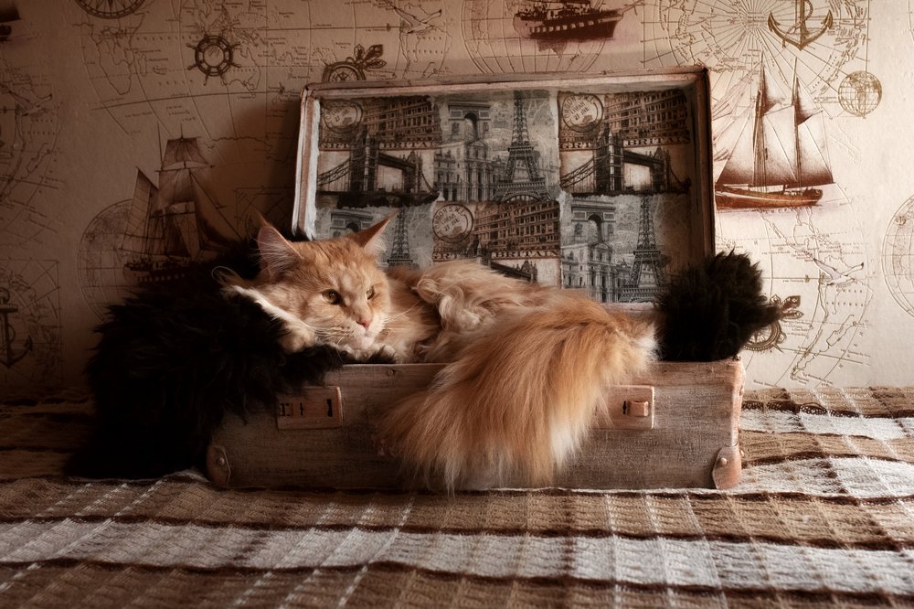 Photograph by Юлия Шестопалова