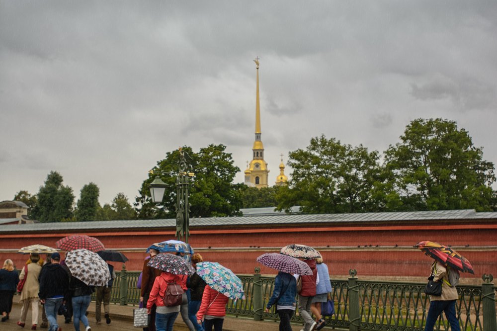 дождь в Питере