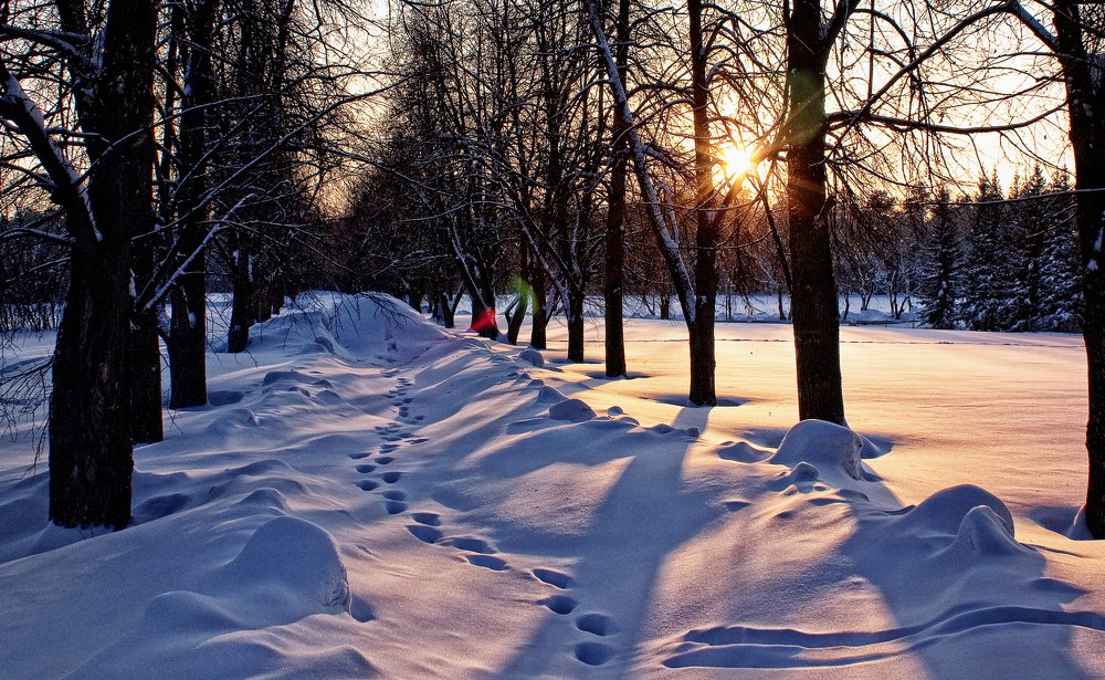 Зимний вечер