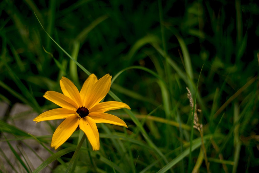 Photograph by Олег