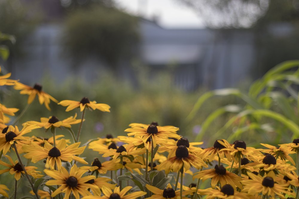 Photograph by Олег