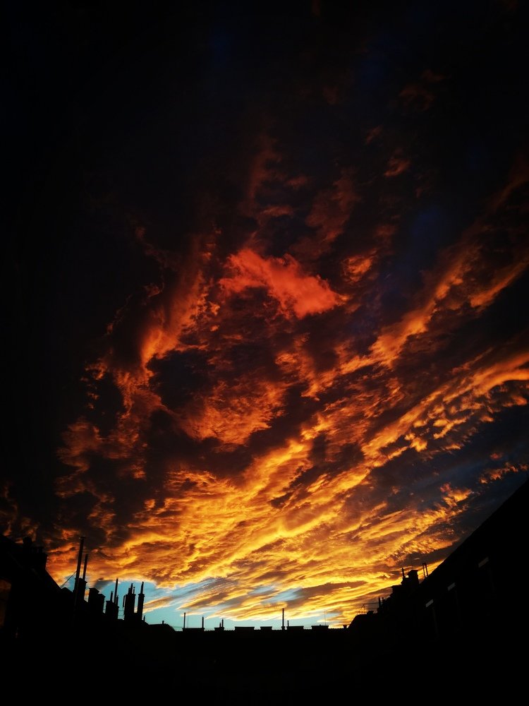 Photograph by Eva Wiedemann