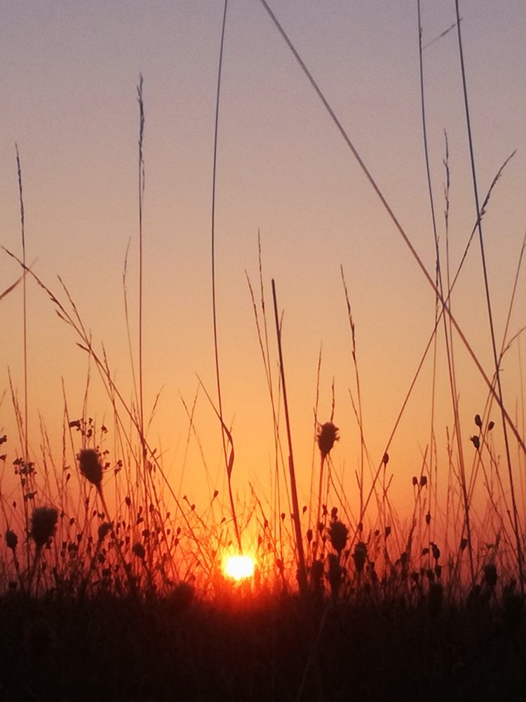 Photograph by Eva Wiedemann