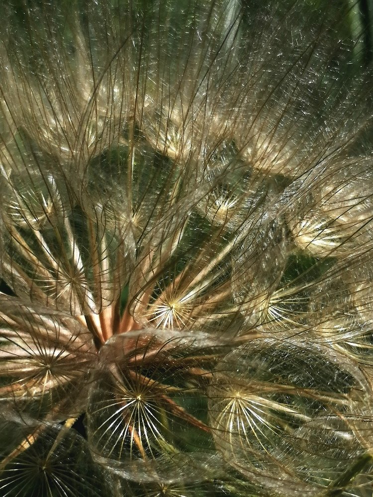 Photograph by Eva Wiedemann