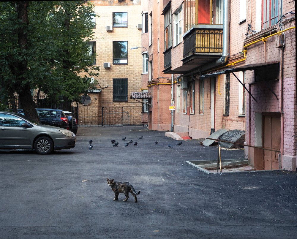 Photograph by Елена Ржевская