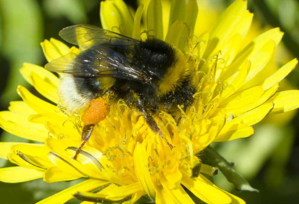 Photograph by Владимир