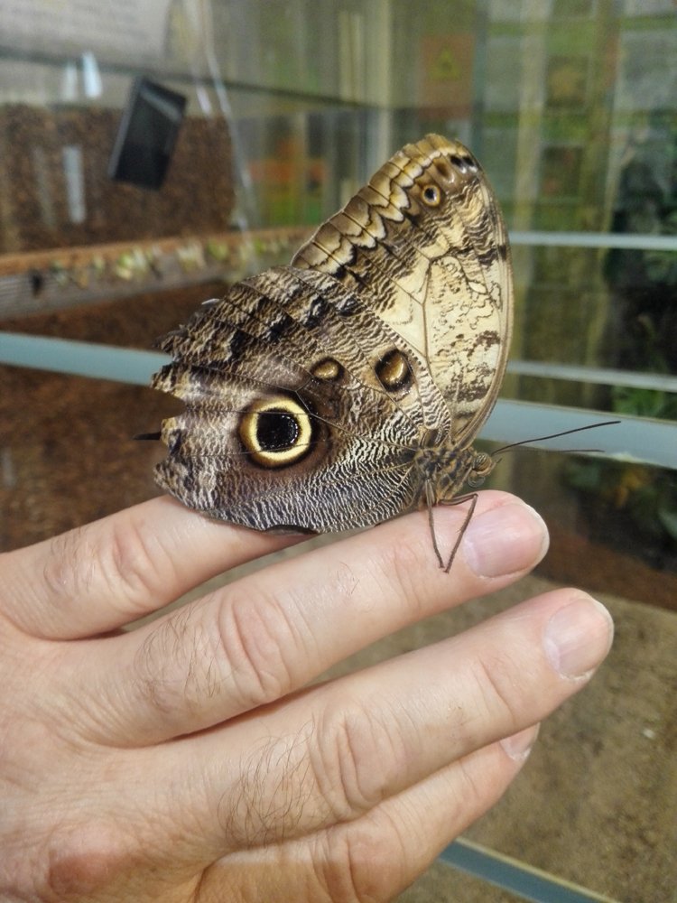 В гармонии с природой