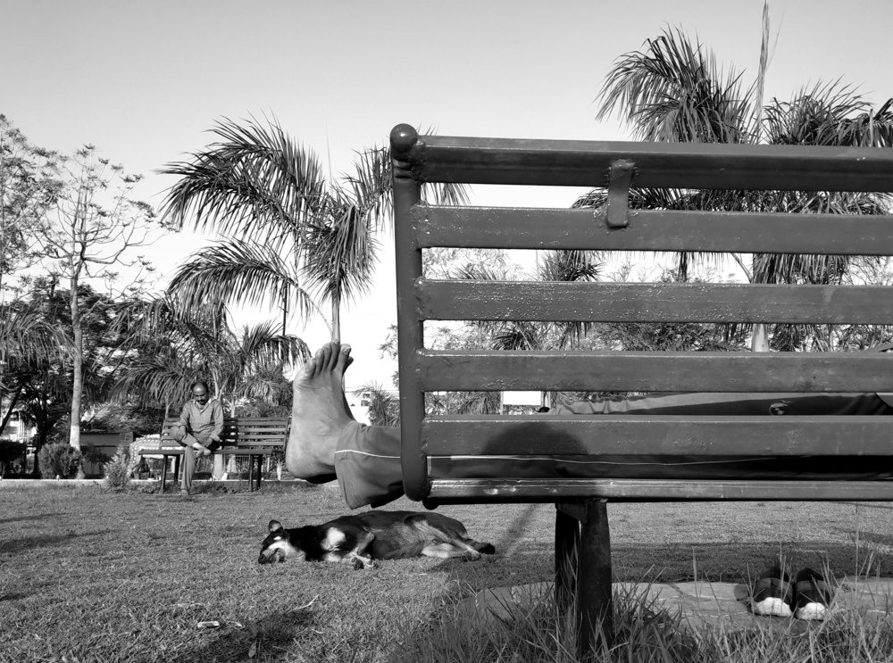 Scene
