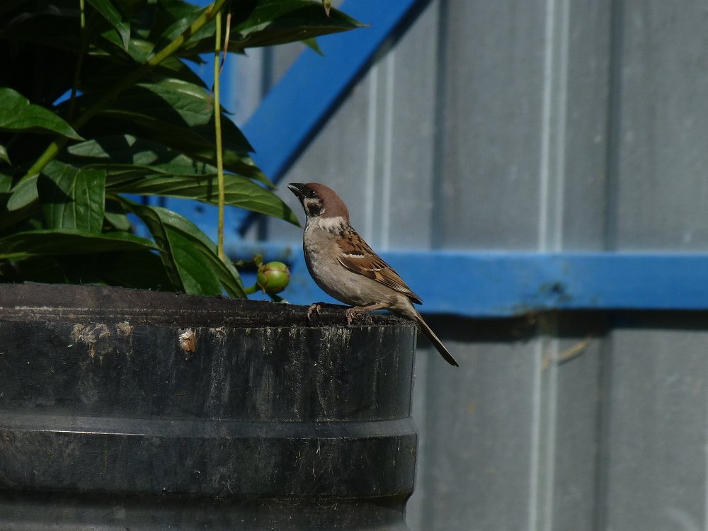 Photograph by Елизавета