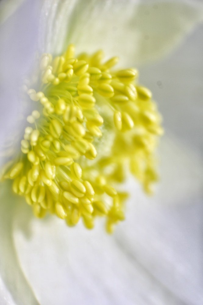 Фотография автора Найденова Алина