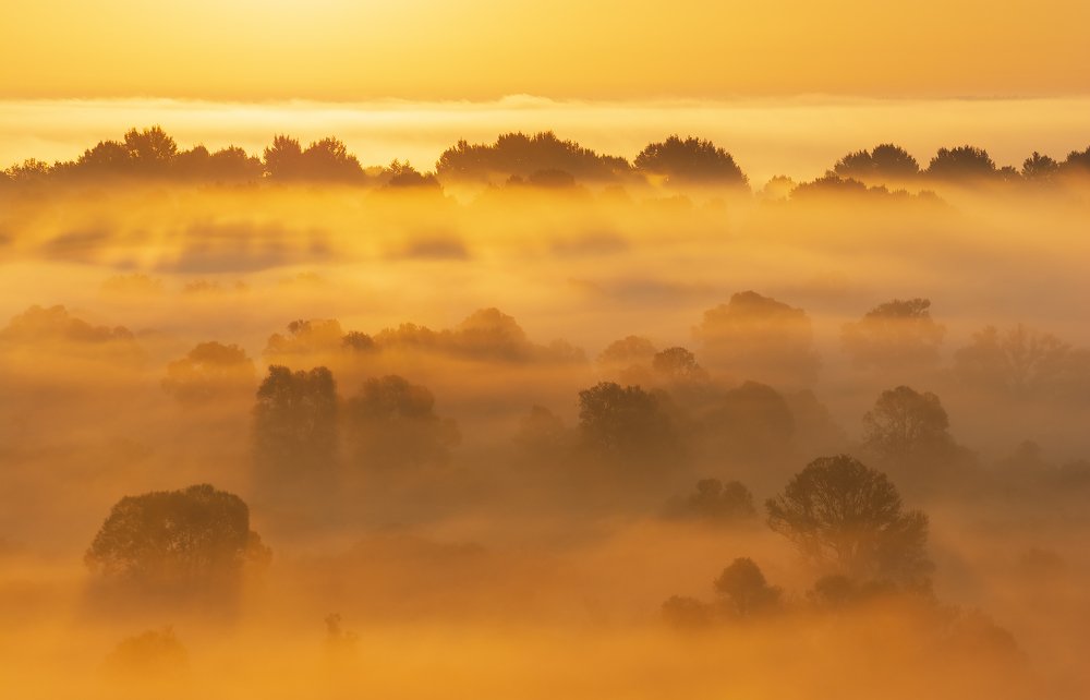 Photograph by Дмитрий Новоселов